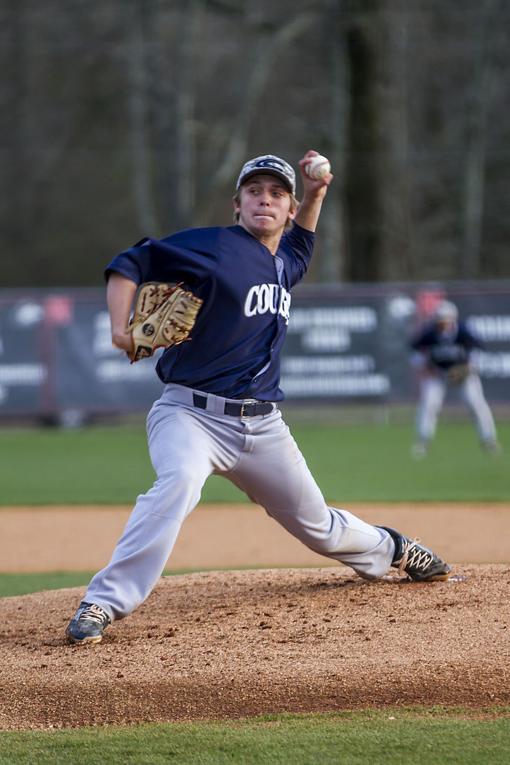 Hewitt-Trussville makes final baseball, softball rankings