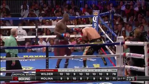 Wilder knocks Molina out in 9th round