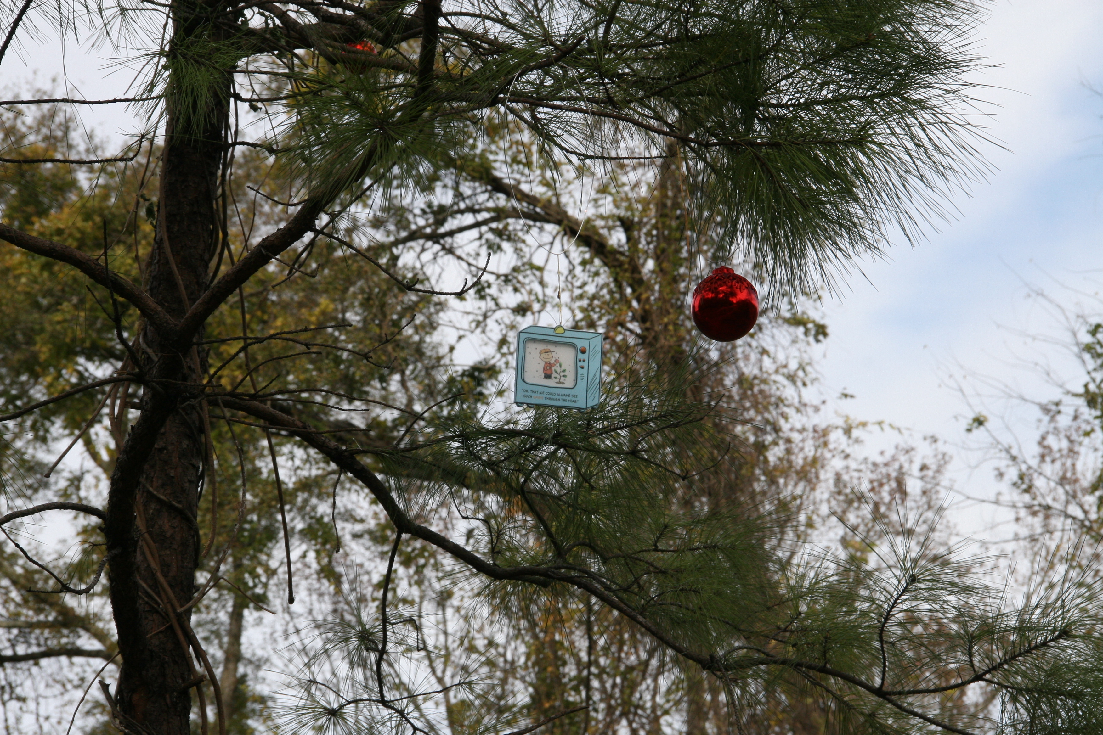 ‘Tis the Season: Charlie Brown tree decorated in Trussville