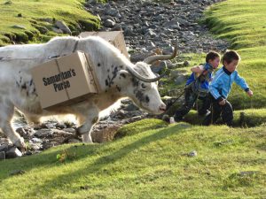 Gifts are distributed to the hardest-to-reach places in the world. Here, children receive Operation Christmas Child gifts delivered by oxen in Mongolia. Photo courtesy of Samaritan's Purse