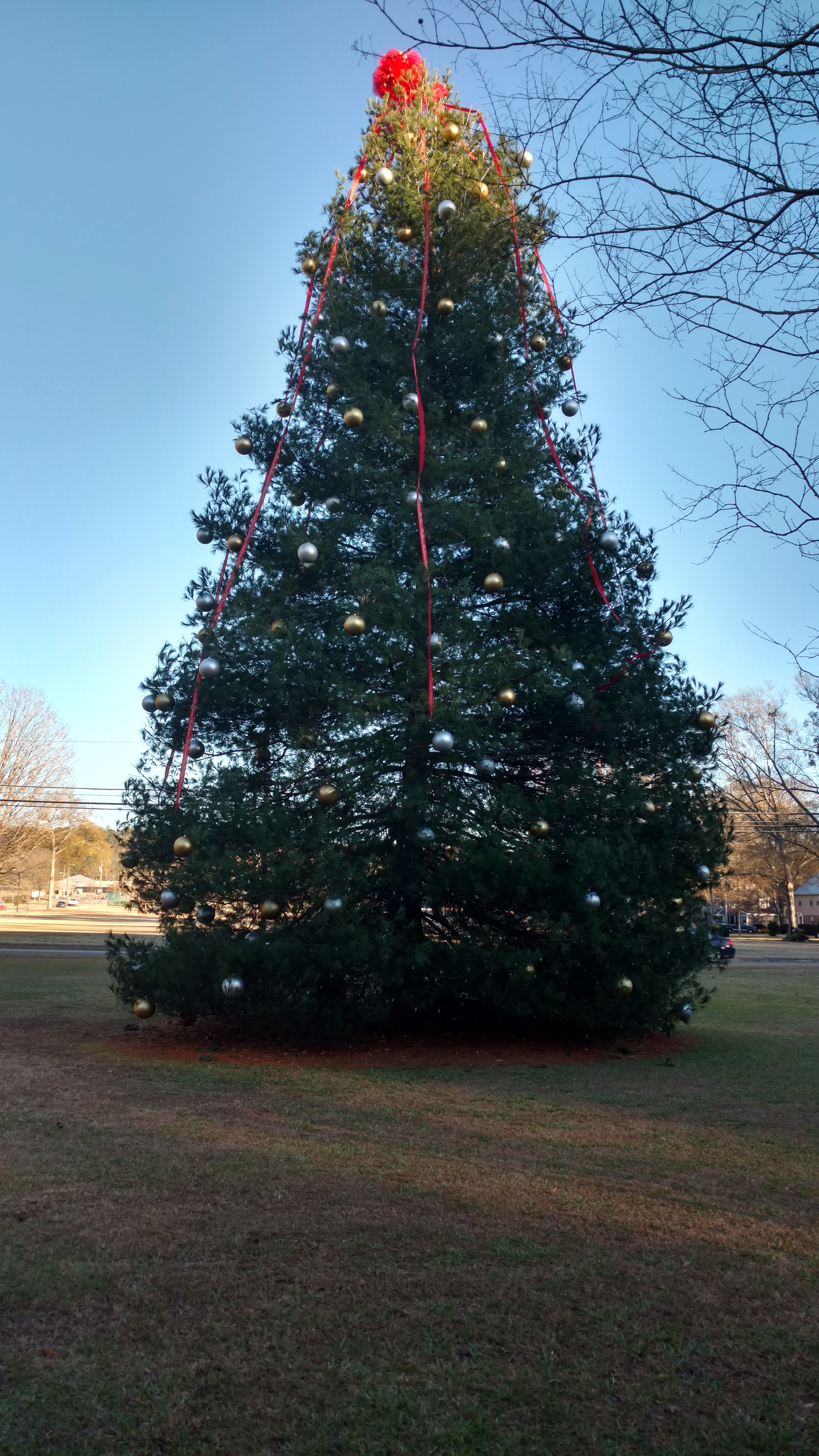 Trussville home, city Christmas tree vandalized
