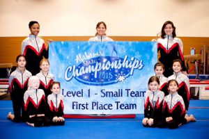 Coaches from left to right: Coaches Kristalyn Robinson, Ingrid Pfau and Gabriela Pfau. Gymnasts on the left: Sarah Mulligan, Miley Moore, Ren Petersen and Molly Gibson. Gymnasts on the right: Marlow Martin, Shyanne Payton, Kiersten Pritchard and Olivia Mulligan. Submitted photo   