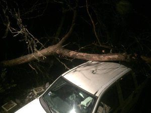 Vehicle damage in Trussville came when high winds blew down a tree limb. Photo courtesy of James Spann Twitter - @spann