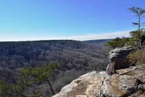 Emily Vanderford shot the beautiful vista from one of the overlooks at Buck’s Pocket State Park. (photo submitted by David Rainer)