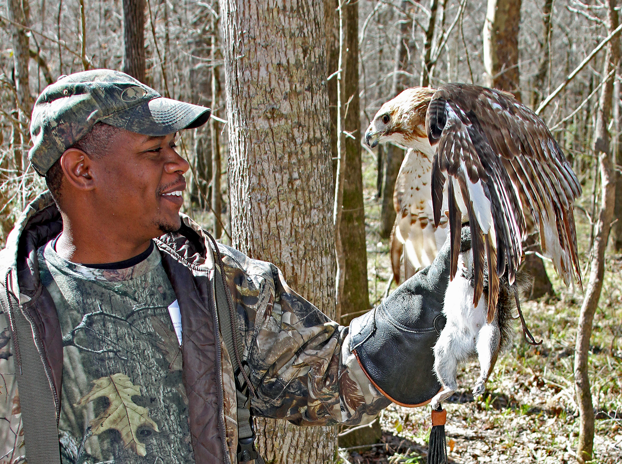 Squirrels vs. red-tailed hawks makes for a fun day of hunting in Alabama