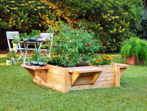 Raised bed gardens with benches make it easier to plant, maintain and harvest. (Photo by Bonnie Plants)