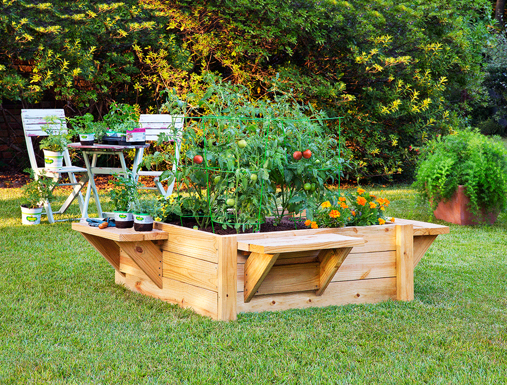 Ease into gardening with a raised bed  
