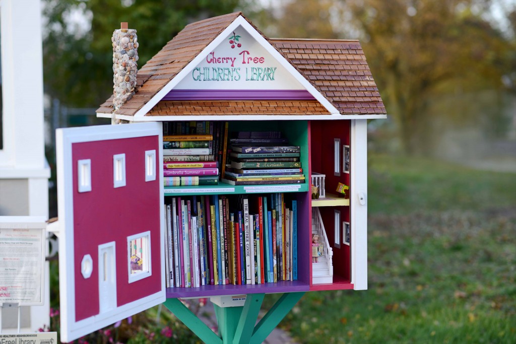 Little Free Libraries available in Birmingham parks