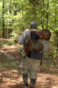 Chuck Sykes, Director of Wildlife and Freshwater Fisheries, bagged only one gobbler, but he helped other hunters take 10 turkeys this past season.
