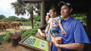 Lions, tigers and giraffes, oh my! A myriad of exotic animals await Dad and the rest of the family this weekend at the Montgomery Zoo, where Dad attends free. The visit makes for a special celebration in honor of Father's Day. (Meg McKinney/Montgomery Zoo) - See more at: http://alabamanewscenter.com/2016/06/16/its-dads-weekend-cant-miss-alabama-delivers-fast-cars-a-zoo-visit-a-blueberry-festival-and-culture/#sthash.k7AbUs27.dpuf