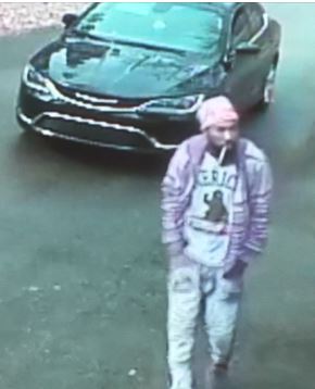 St. Clair Sheriffs looking for burglary suspect in Springville area