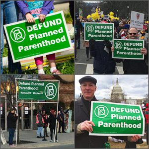 Photo from protestpp.com