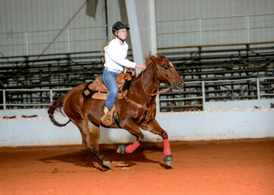 No horsing around: Trussville woman bringing horse training facility to the area