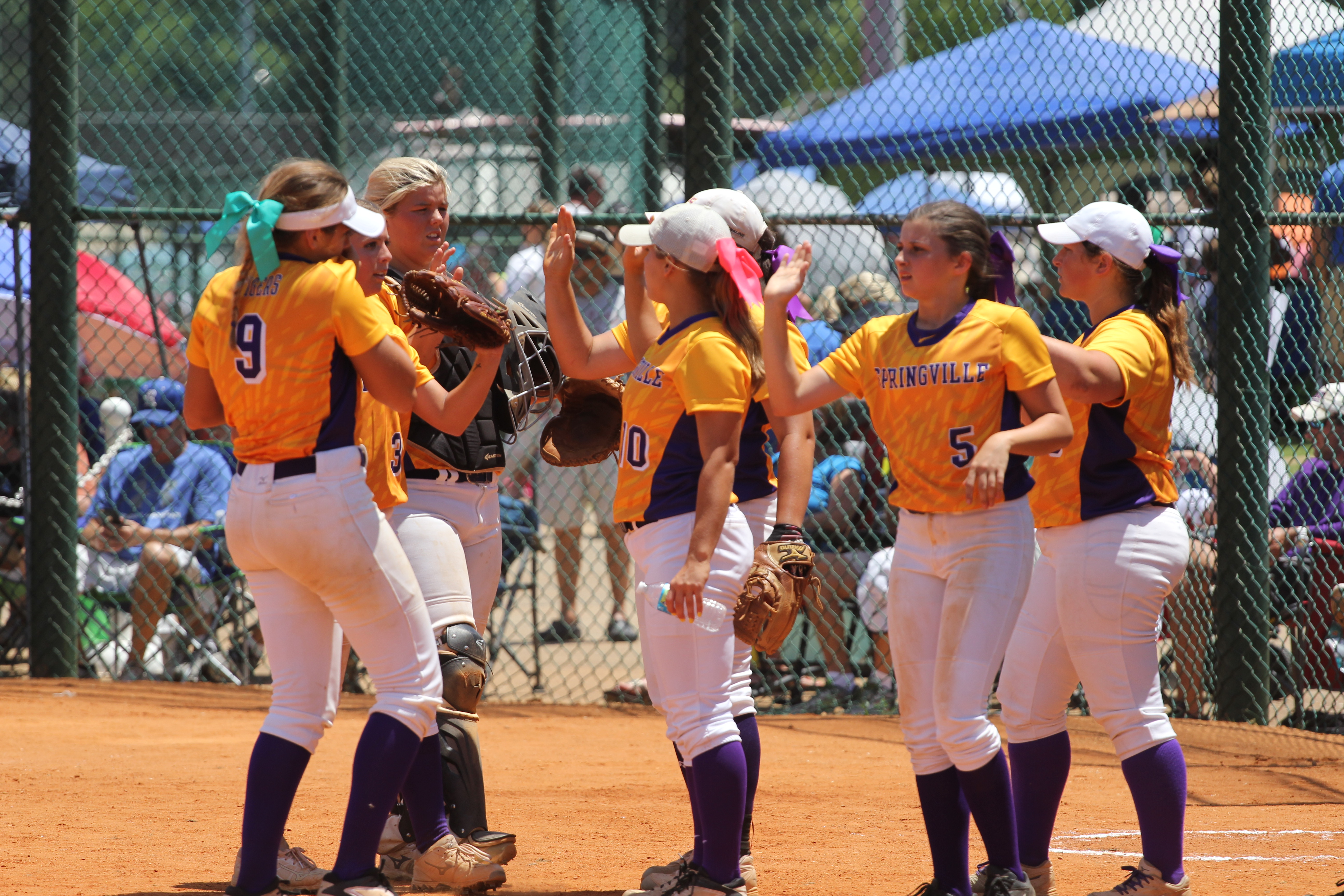 Springville one win away from state softball title; game to be held today