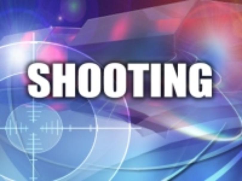 1 person shot, 1 person being questioned in Blount County
