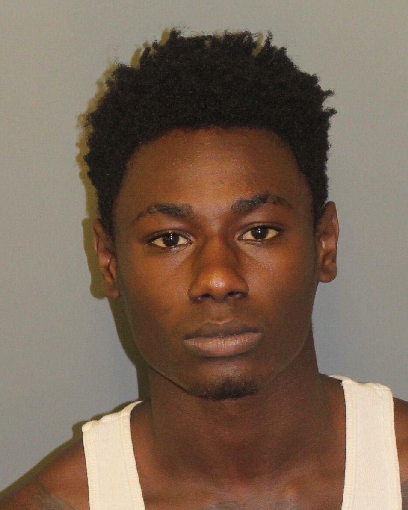 Bessemer teen charged with rape, cruelty to animals, other crimes