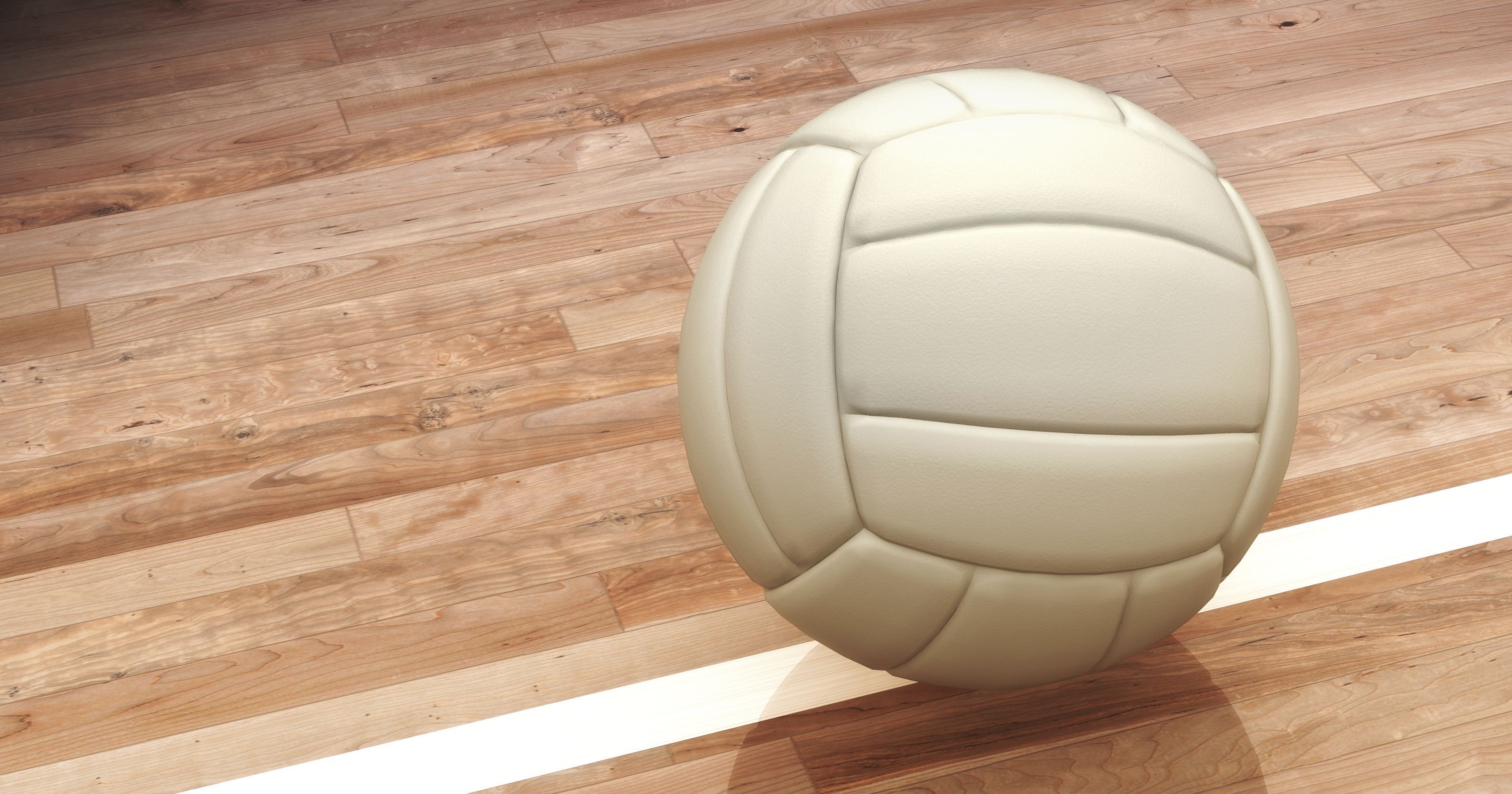 Volleyball season ends for local schools
