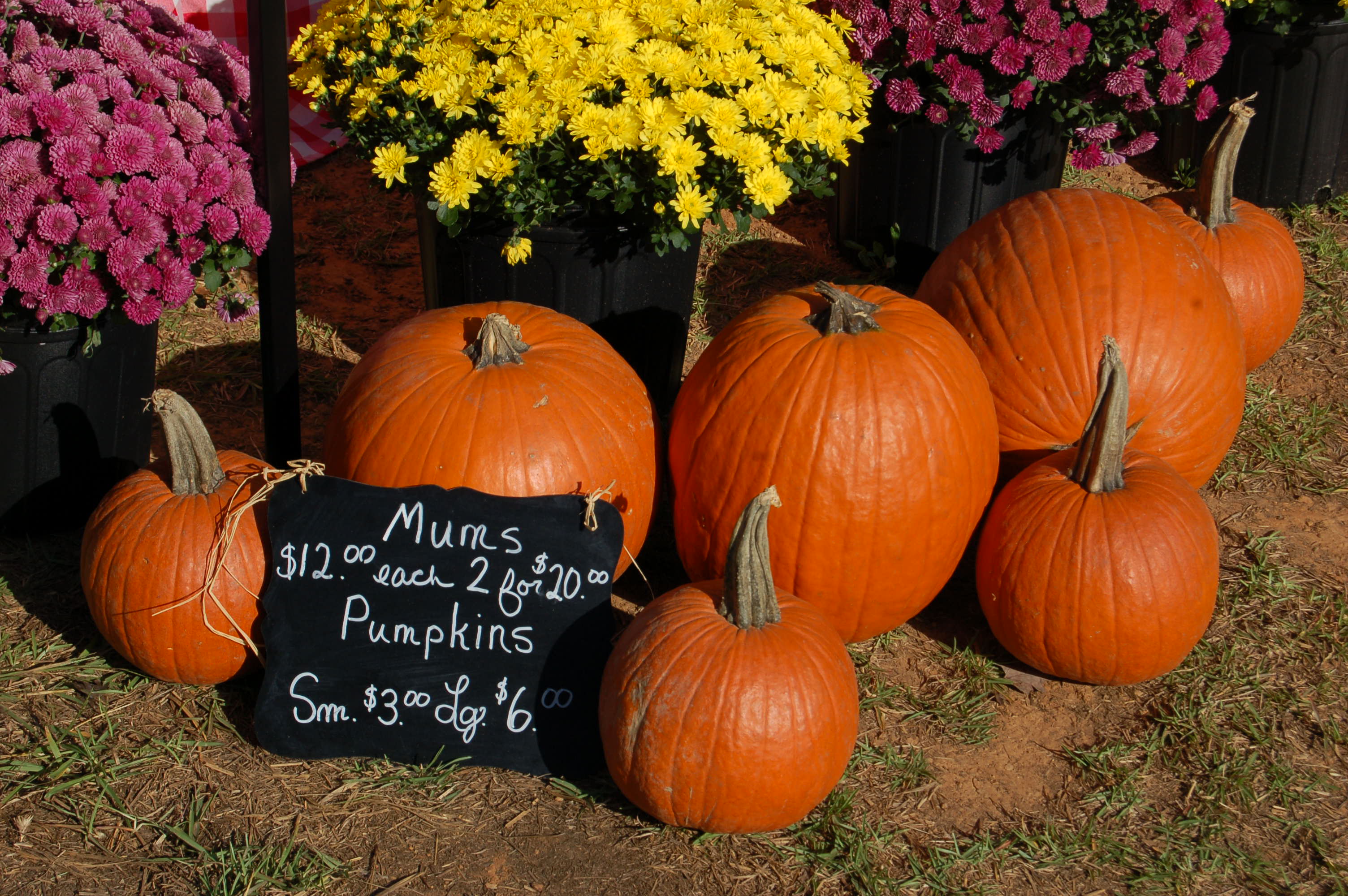 Local festivals abound during October in Trussville, Clay and Pinson