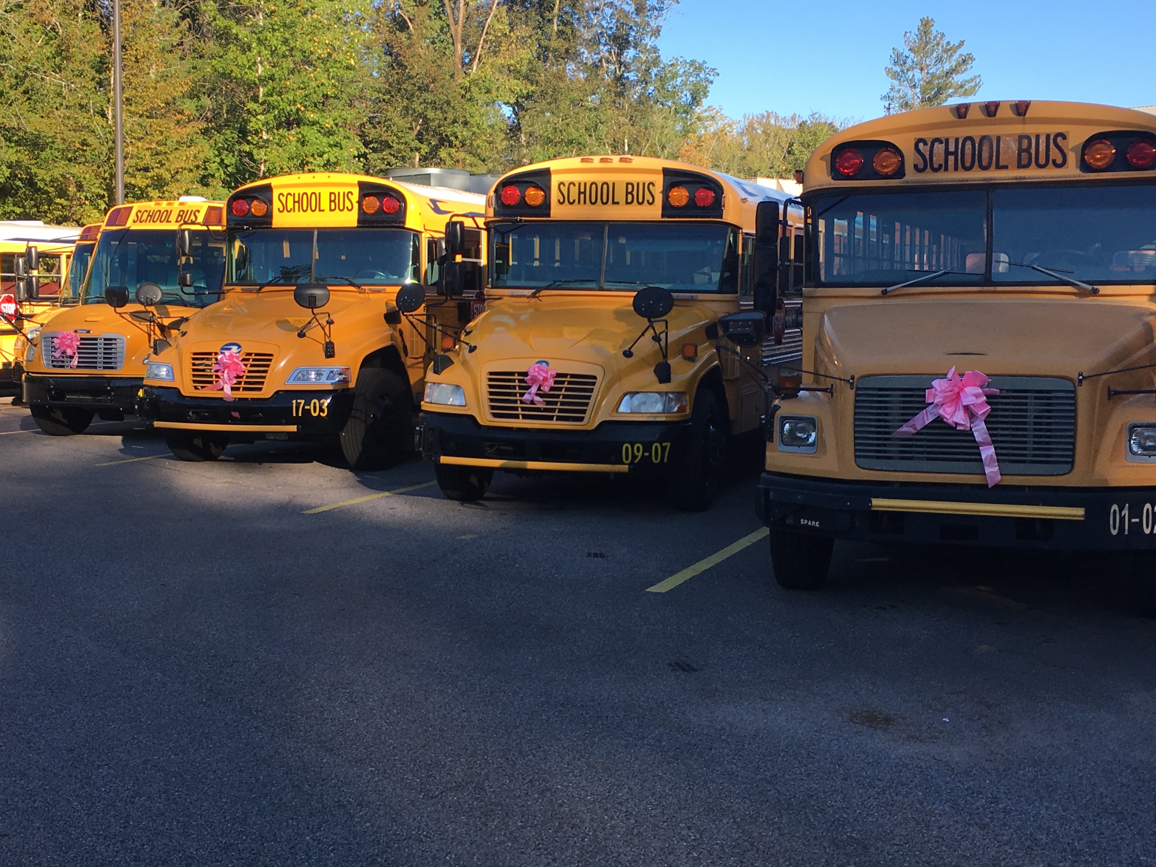 National week-long campaign narrows focus on school bus safety in Trussville