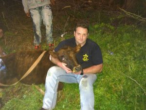 Lost calf returned to owner in Jefferson County