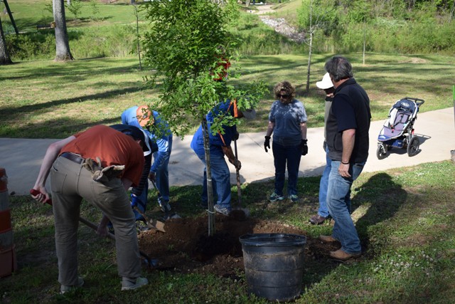 Rotarians plant trees at Civitan Park