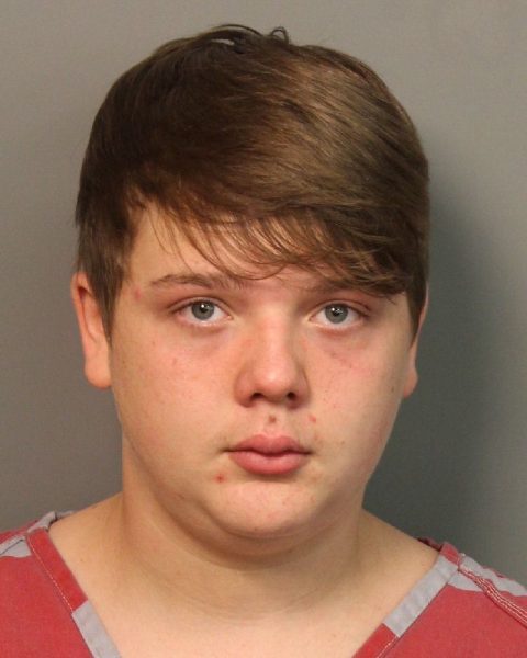 Pinson teen charged in sexual torture of 11-year-old girl