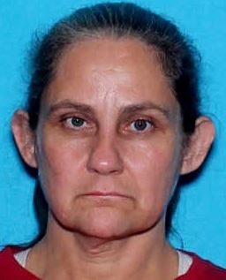 Pinson area woman wanted on charges of theft, fraudulent credit card use