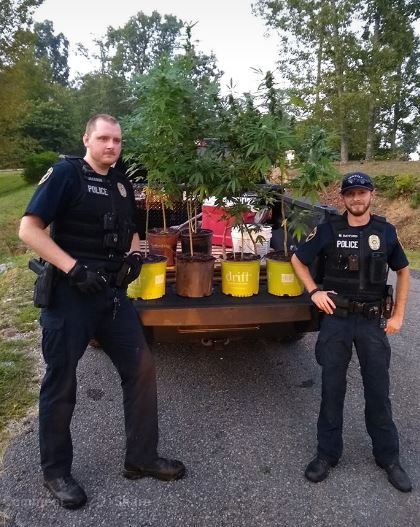 Odenville Police remove pot plants from side of road