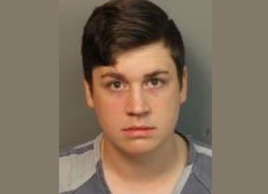 Birmingham man charged for displaying/disseminating video of child sodomy
