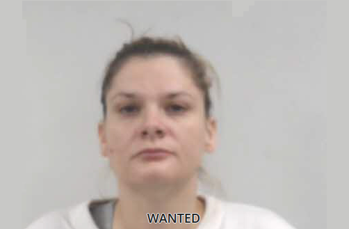 Authorities looking for Pell City woman