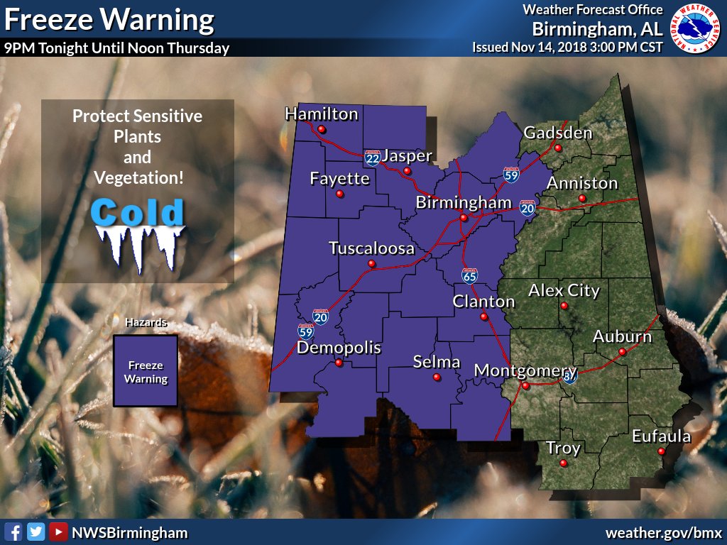 Freeze warning overnight for Jefferson, Blount counties, pets and plants will need protection