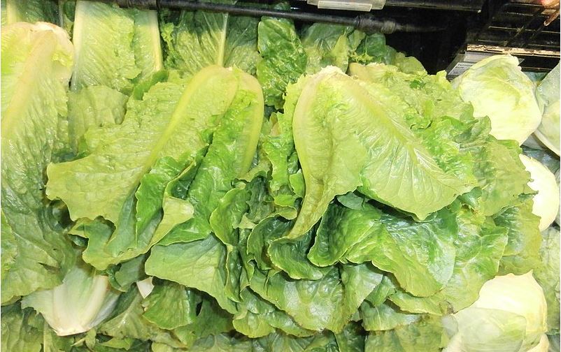 FDA issues warning against eating romaine lettuce