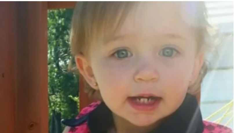 Nation: Pit bull kills 1-year-old girl in North Carolina