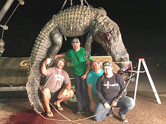 Odenville resident among other Alabama hunters to capture 144 alligators