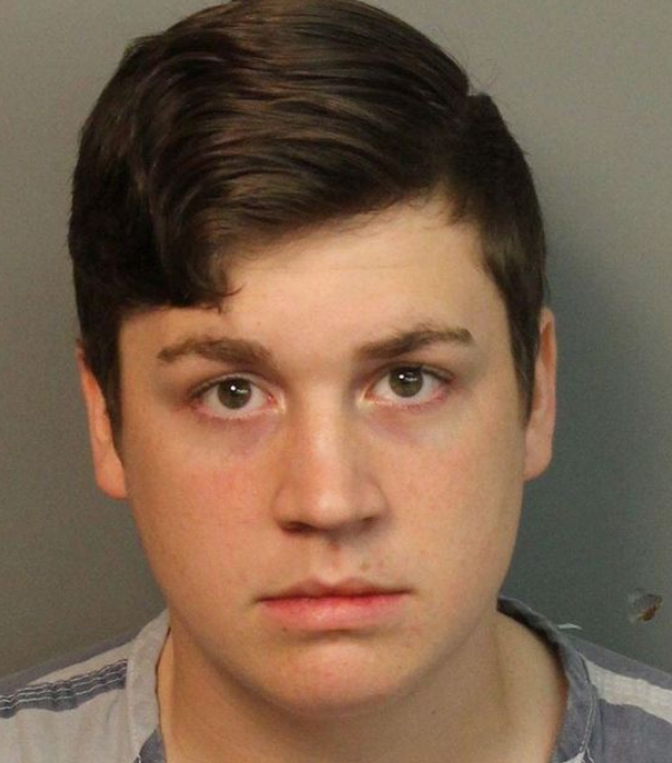 19-year-old Birmingham man indicted on felony child porn charges