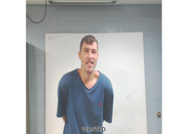 Man wanted in St. Clair County for felony warrants