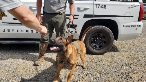 VIDEO: A 'sweet' life for Jefferson County K9 officers