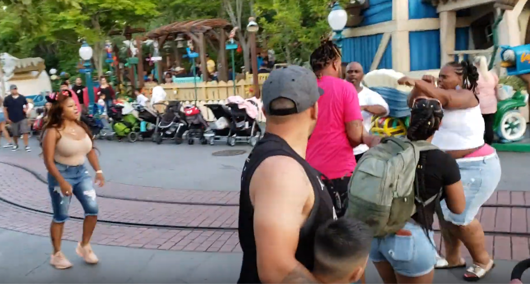 Graphic video shows family at Disneyland verbally and physically attacking one another