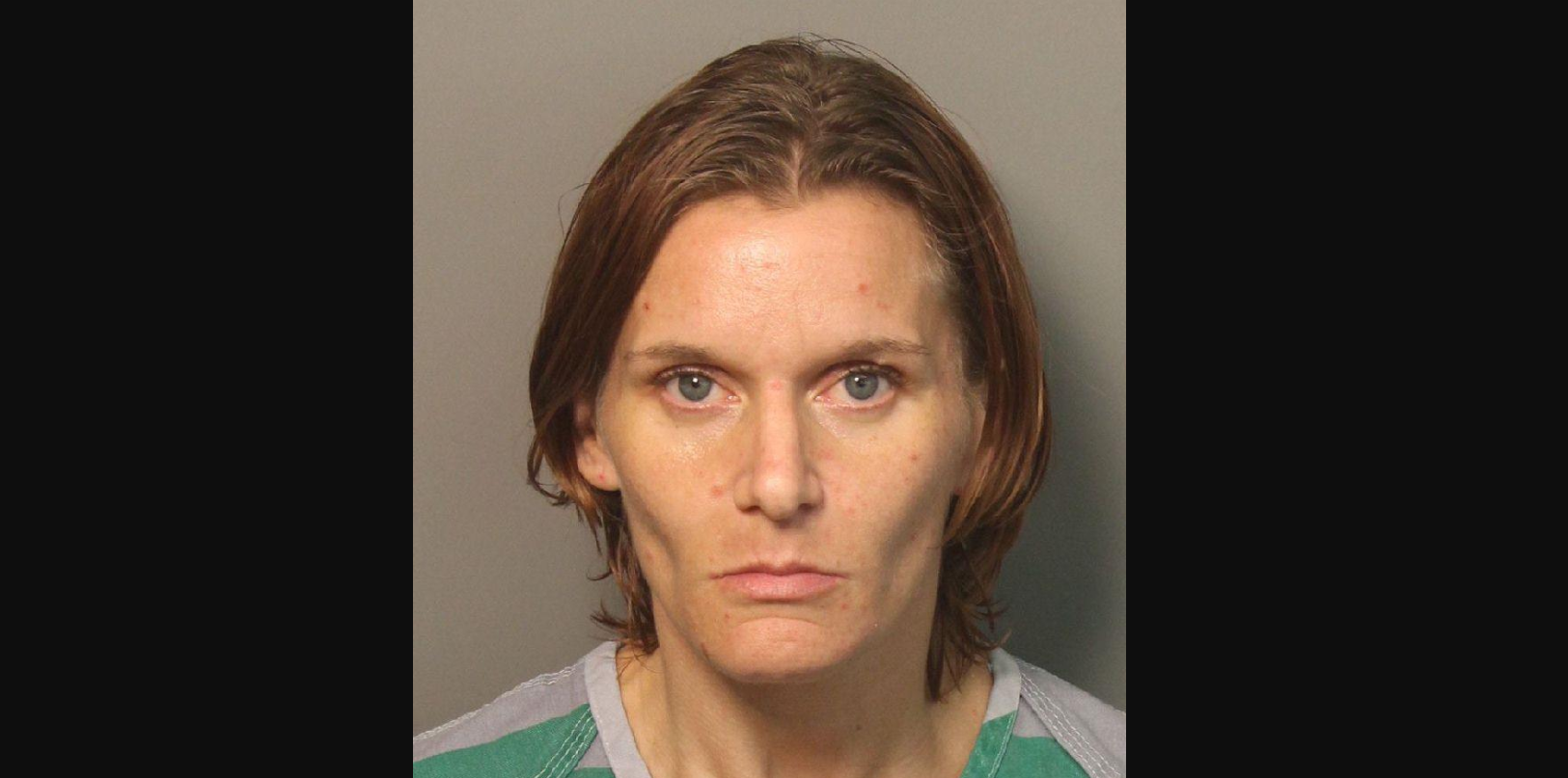 Trussville woman indicted in hot car death of dog at Walmart