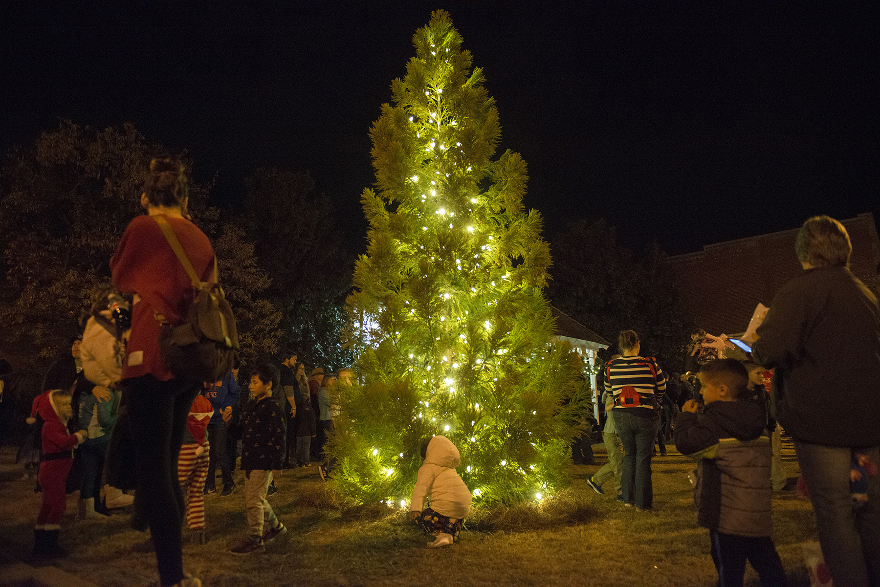 PHOTO GALLERY: Leeds Christmas Tree Lighting