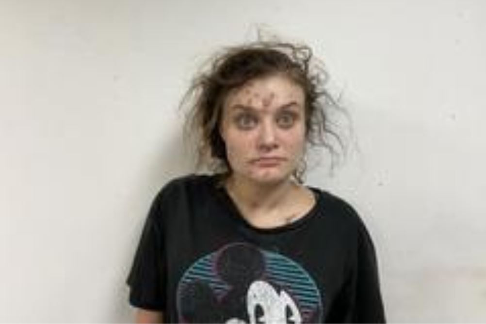 Woman arrested in St. Clair County accused of not complying with sentence for hiding suspect