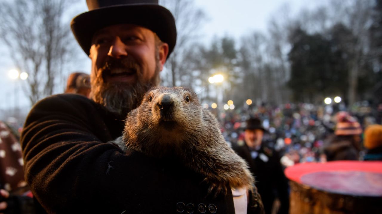 Punxsutawney Phil declares early spring 'a certainty'