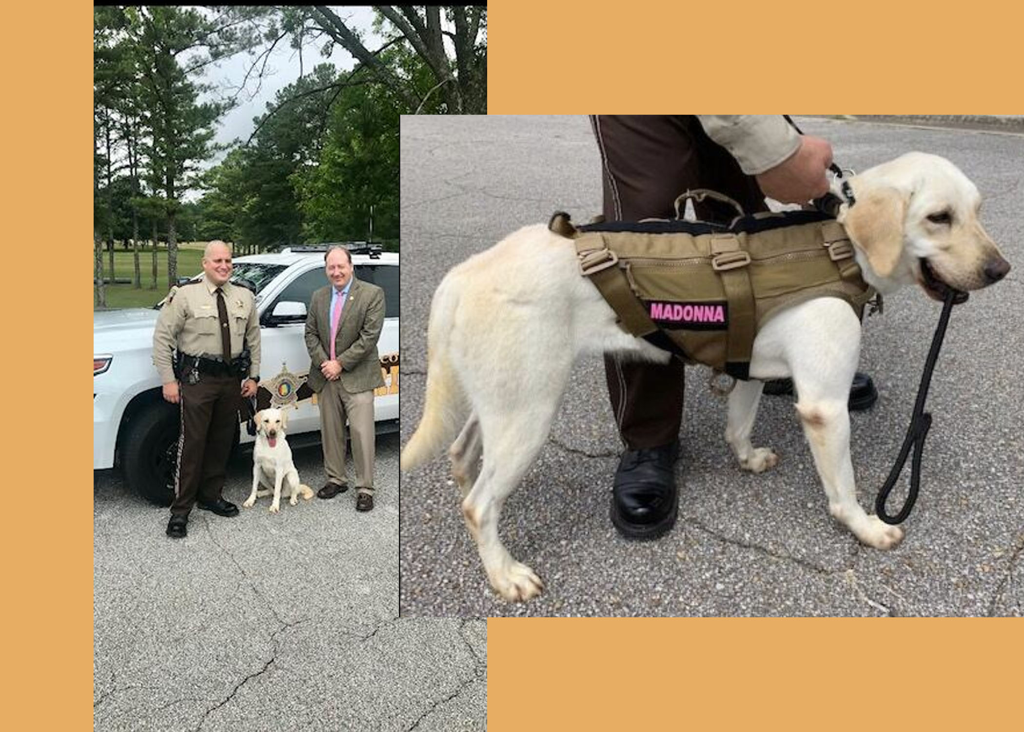 St. Clair County welcomes new K9 to 'sniff out crime'