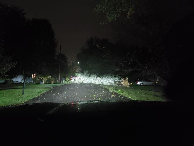 Downed tree cleared from Oak Drive West