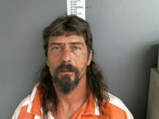 Landlord arrested after 10 animals were found killed in Randolph County