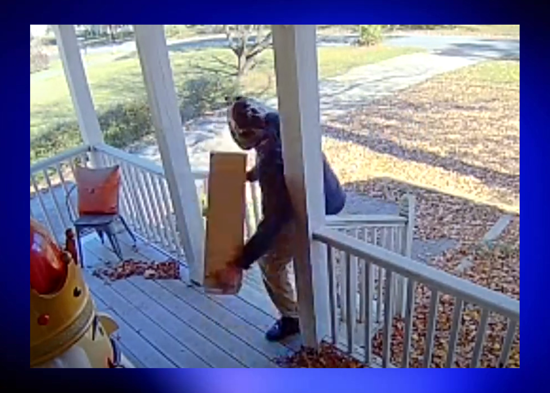 Caught on camera: Porch pirate snatching package from Trussville home
