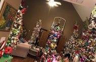 GALLERY: Trussville home has 32 Christmas trees inside
