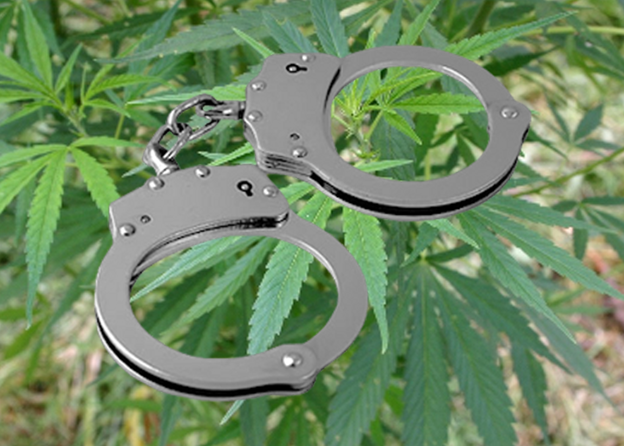 Birmingham mayor pardons more than 15,000 with marijuana convictions