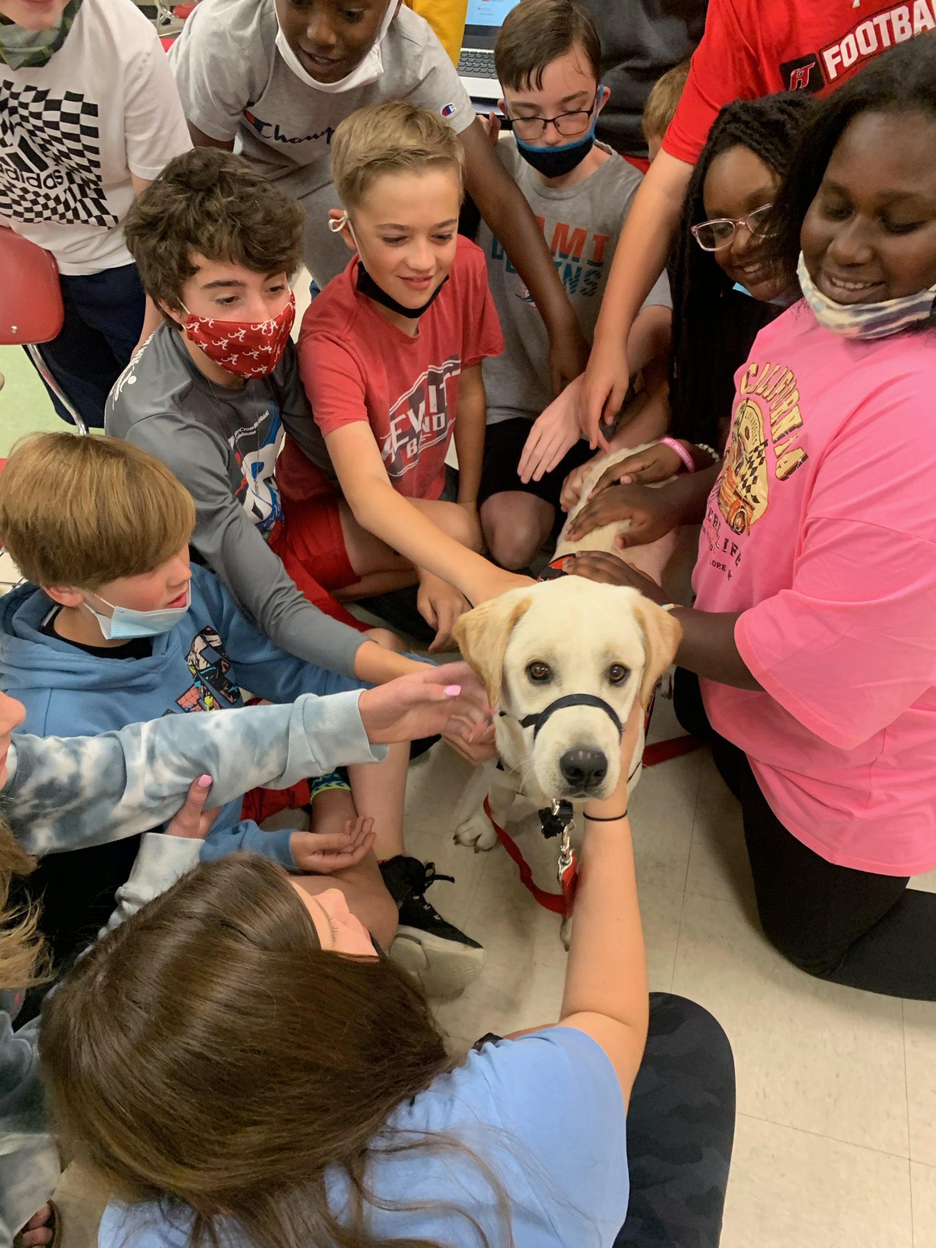 Trussville City schools going to the dogs: Meet Skye, Bullet and Atom