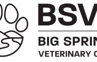 Big Springs Veterinary Clinic offers small town feel, but individualized care